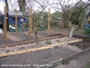 Building the rasberry patch of shed - plot shed, 