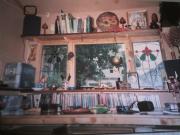 The Grateful Shed: Inside