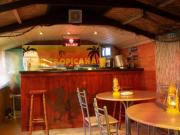 bj's club tropicana: Bar