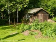 everything is growing of shed - Mysterious Shed, 