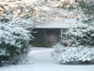 snowcovered of shed - Mysterious Shed, 