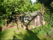 how peaceful of shed - Mysterious Shed, 