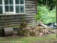 plant/log arrangement of shed - Mysterious Shed, 