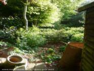 view from behind the shed of shed - Mysterious Shed, 