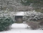snowcovered of shed - Mysterious Shed, 