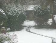 that path of shed - Mysterious Shed, 