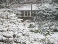 more snow of shed - Mysterious Shed, 