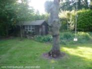 old tree trunk + swing of shed - Mysterious Shed, 