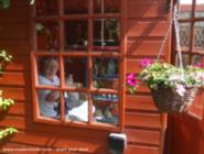 The Ship-Shape Shed: Through the Window