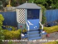 view from my window of shed - The Seahorse, 