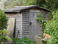 front view of shed - The Writers Shed, Shropshire