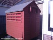 Photo 2 of shed - The Shudy, Kent
