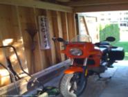 Margaret's tea shed : I love my shed