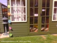 Photo 1 of shed - Shally, West Sussex