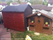 Shed Outside next to daughters wendy house of shed - The Entertainer, Devon