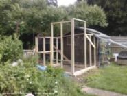 framing up of shed - The Freegan Greenhouse, 