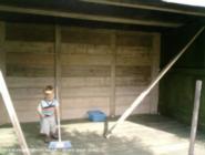 Rich's reclaimed workshop: walls up and floor swept