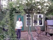 Rich's reclaimed workshop: In the garden