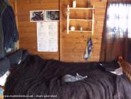 inside of shed - Gypsy Julies Shed, 