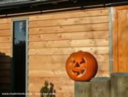 Shed Nous - aka Rhythm Ranch, 
