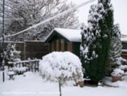Winter Scene of shed - The Frog & Toad, Hampshire