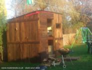 Hidey Hole: The shed sunbathing.