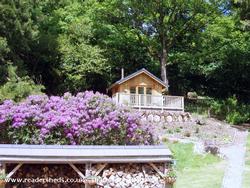 Rhododendron shed. of shed - Huttli, Denbighshire