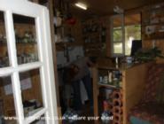 inside of shed - YeeHaw, 