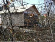 The red shed: side