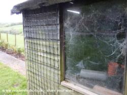 A shed isn't a shed without cobwebs of shed - Husband's proper shed, Denbighshire