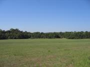 Our field of shed - Karen's Potting Shed, 