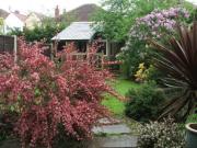 shed: front view