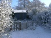 Midwinter of shed - The Shed, 