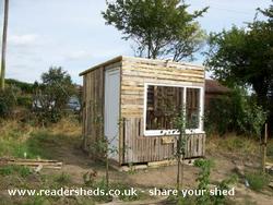 Felted and boarded. of shed - The Palletable Shed, 