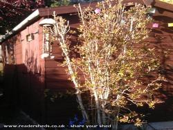 The Cooperage, 