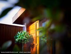 The Lodge Studio: Front, Artistic