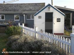 Pathway of desire - perspective pallisade style and lavender windbreak of shed - Dungeness Open Studios - Studio 2, Kent