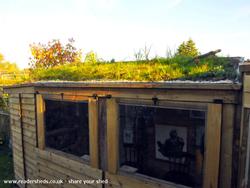 Side view of the green roof on top of the Half Hog cider and art gallery of shed - The Stencil Shed, Wiltshire