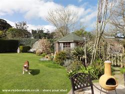 garden/shed/dog of shed - The Shed, 