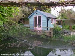 Across the pond - netting to keep the herons away of shed - Trigger's Broom, 
