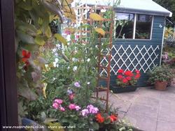 Photo 9 of shed - Garden Shed, 
