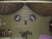 tented ceiling of shed - , 