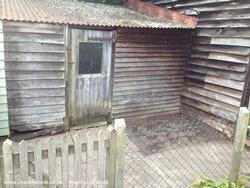 Before! of shed - , 
