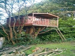 Bespoke Tree House of shed - , 
