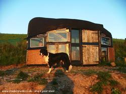 Rex at sunset of shed - Boat Roofed Shed, Powys