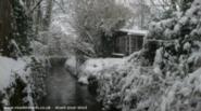 Its even warm inside when it snows of shed - Green Halt, 