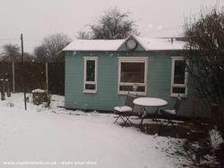 In the snow of shed - The Doghouse, 