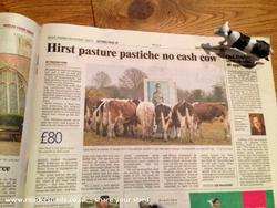 The Foramldershed in the Western Daily Press of shed - , 