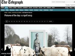 Photo of the day Daily Telegraph April 11th of shed - , 