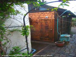 Sneeky back door of shed - Gizmo, Merseyside